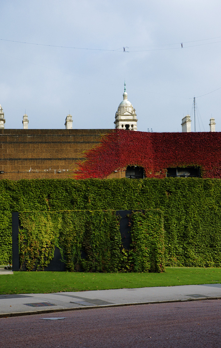 Coats of Leaves