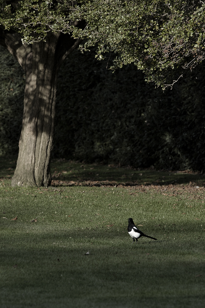 Alone