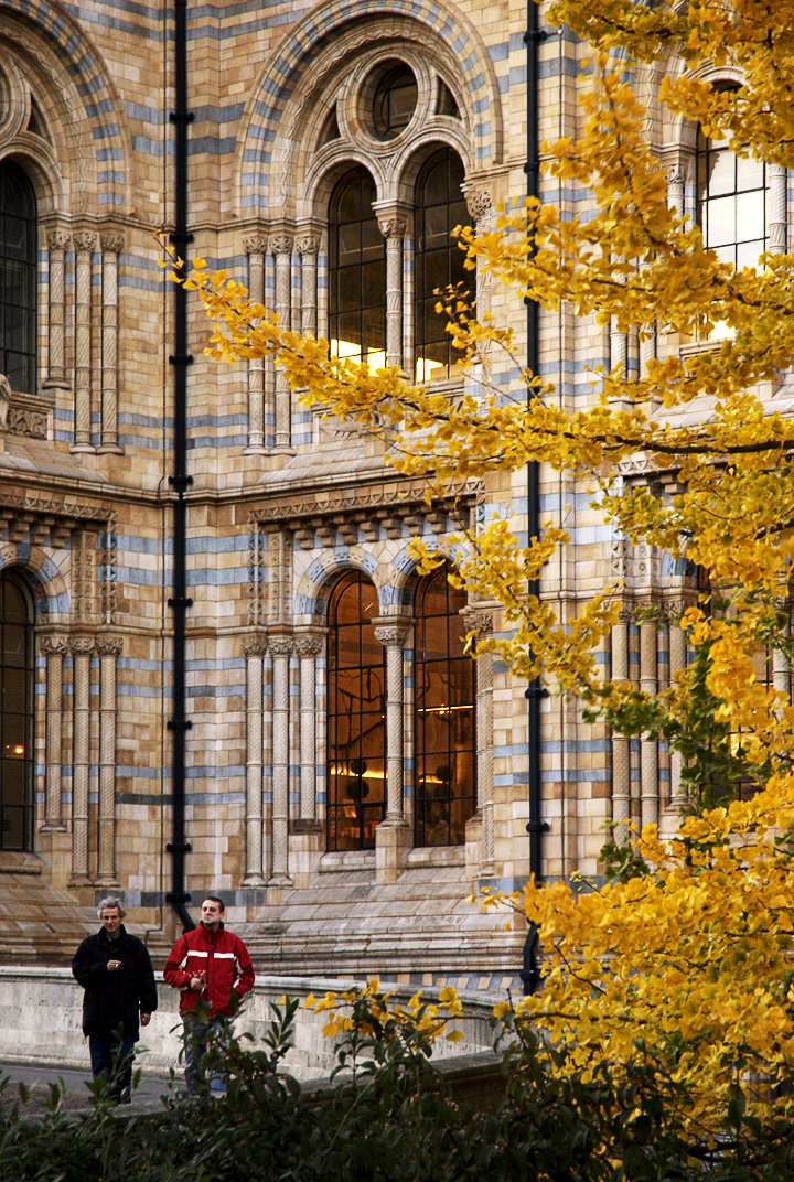 Fall Colors