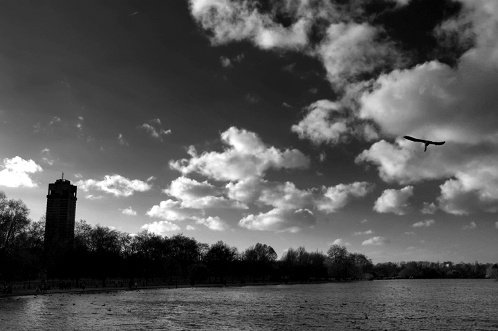 Above the Serpentine
