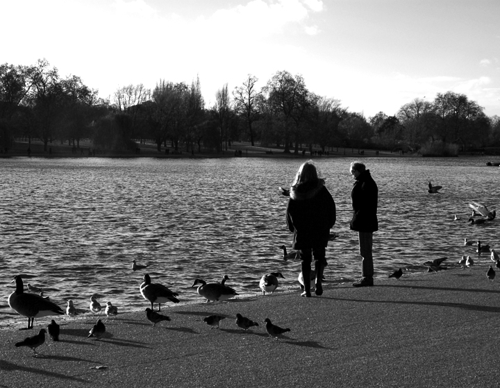 Among Birds
