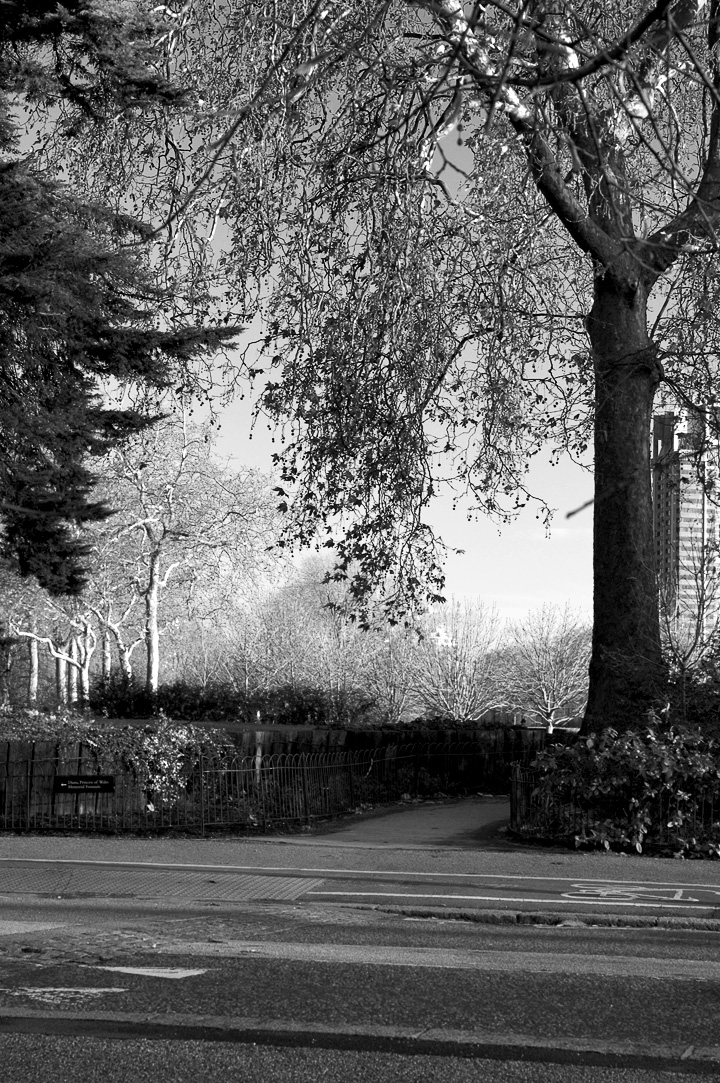 Footpath in Shade