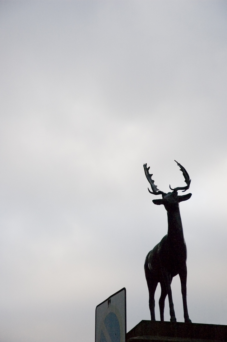 Reindeer-esque