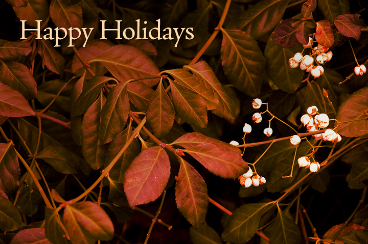 Seasons Greetings