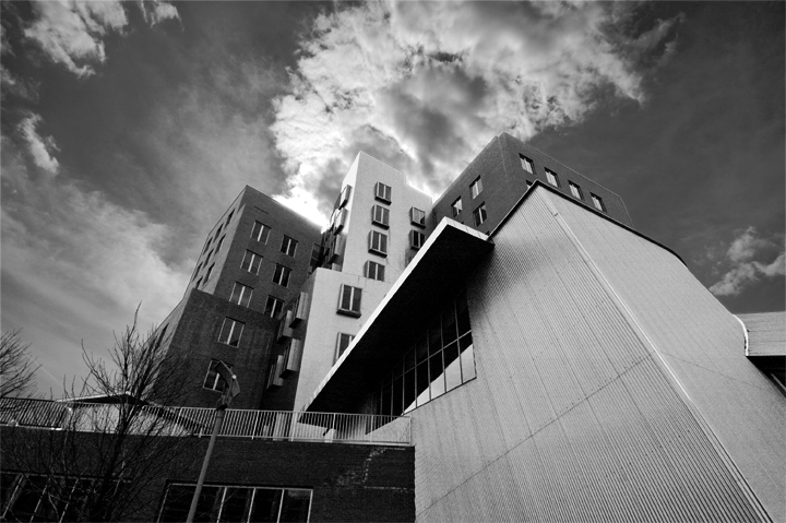 Stata