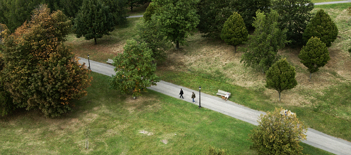 A Walk in the Park