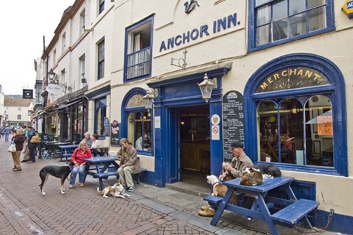 A dogs day at the inn